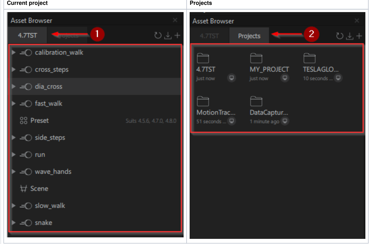 Asset Browser — the Current project and Projects tabs showing the project's asset structure and the available projects